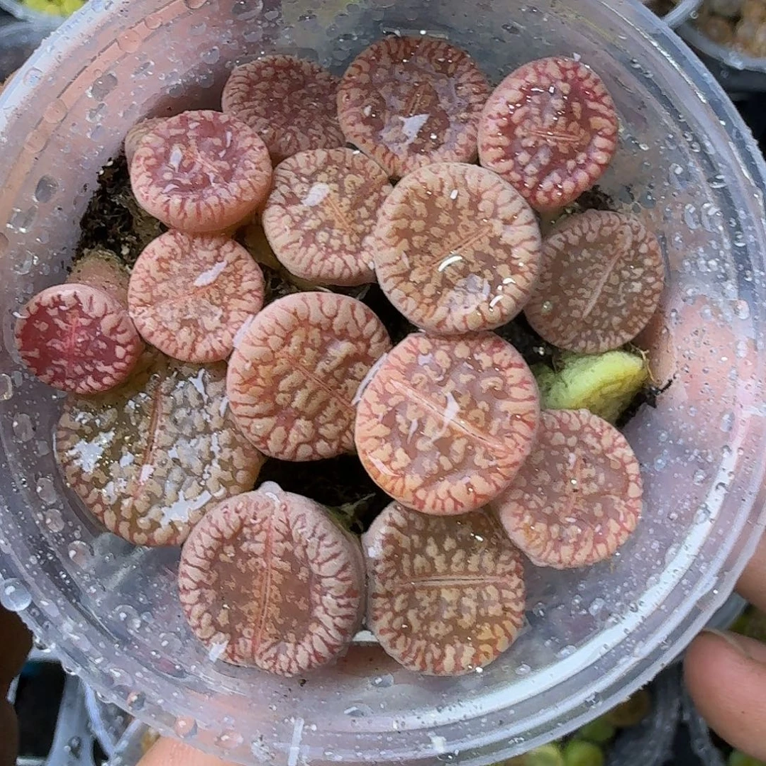 2208 哈哈哈哈哈哈哈