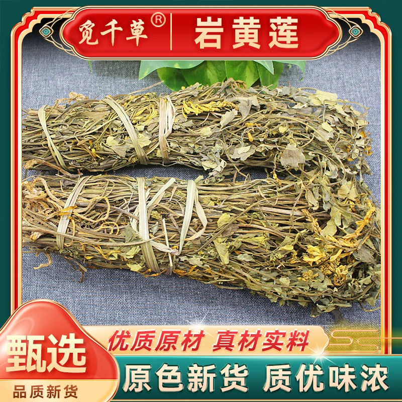 贵州 岩黄连 胡岩连土黄连岩黄莲崖黄莲新货整株晒干搭配枸杞泡水