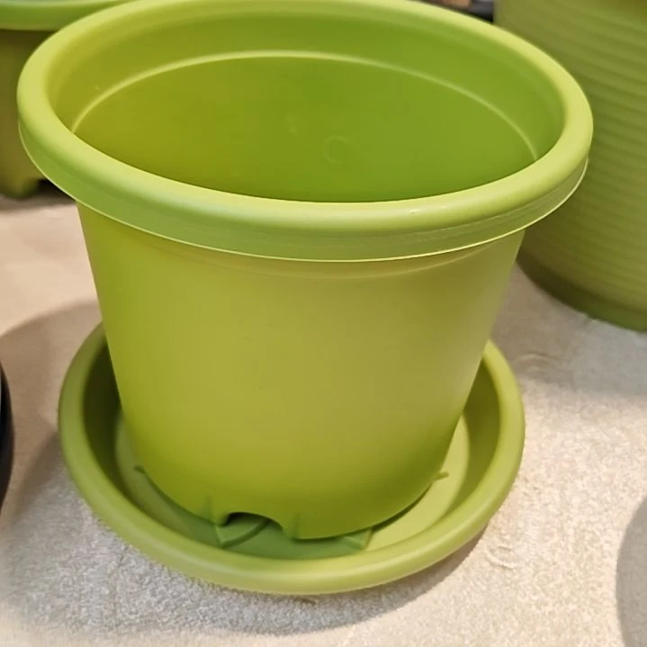 树脂四季盆外口径17，果绿带托5个