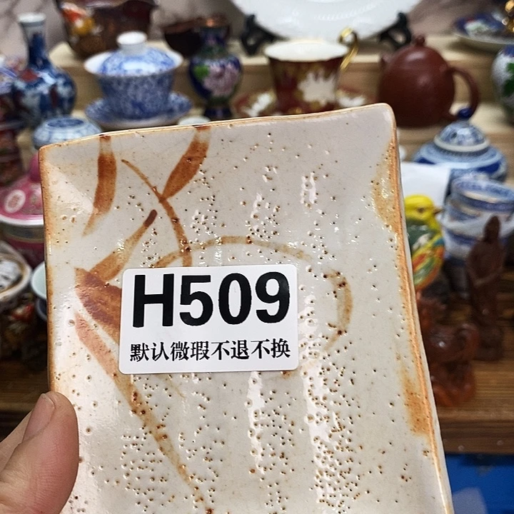 康***娜瓷片清货专场满28包邮H509