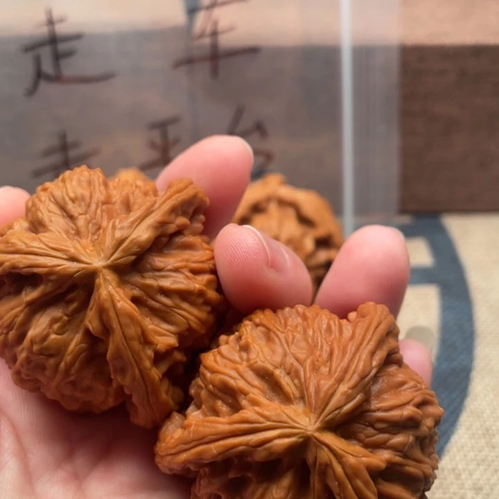 蹲****核桃白狮子44核桃