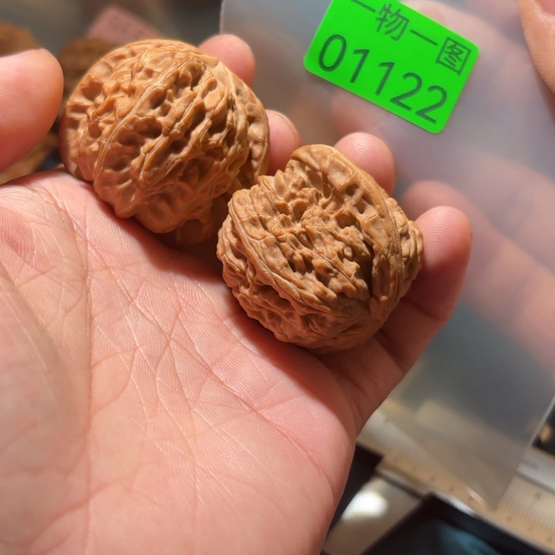 文玩核桃把件白狮子