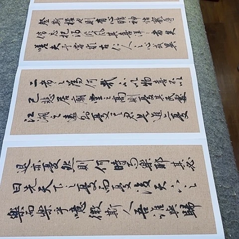 扇子岳阳楼记行书册页作品