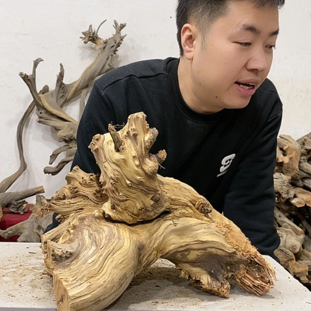 【闪购商品】柏木橡***你我们都是好孩子