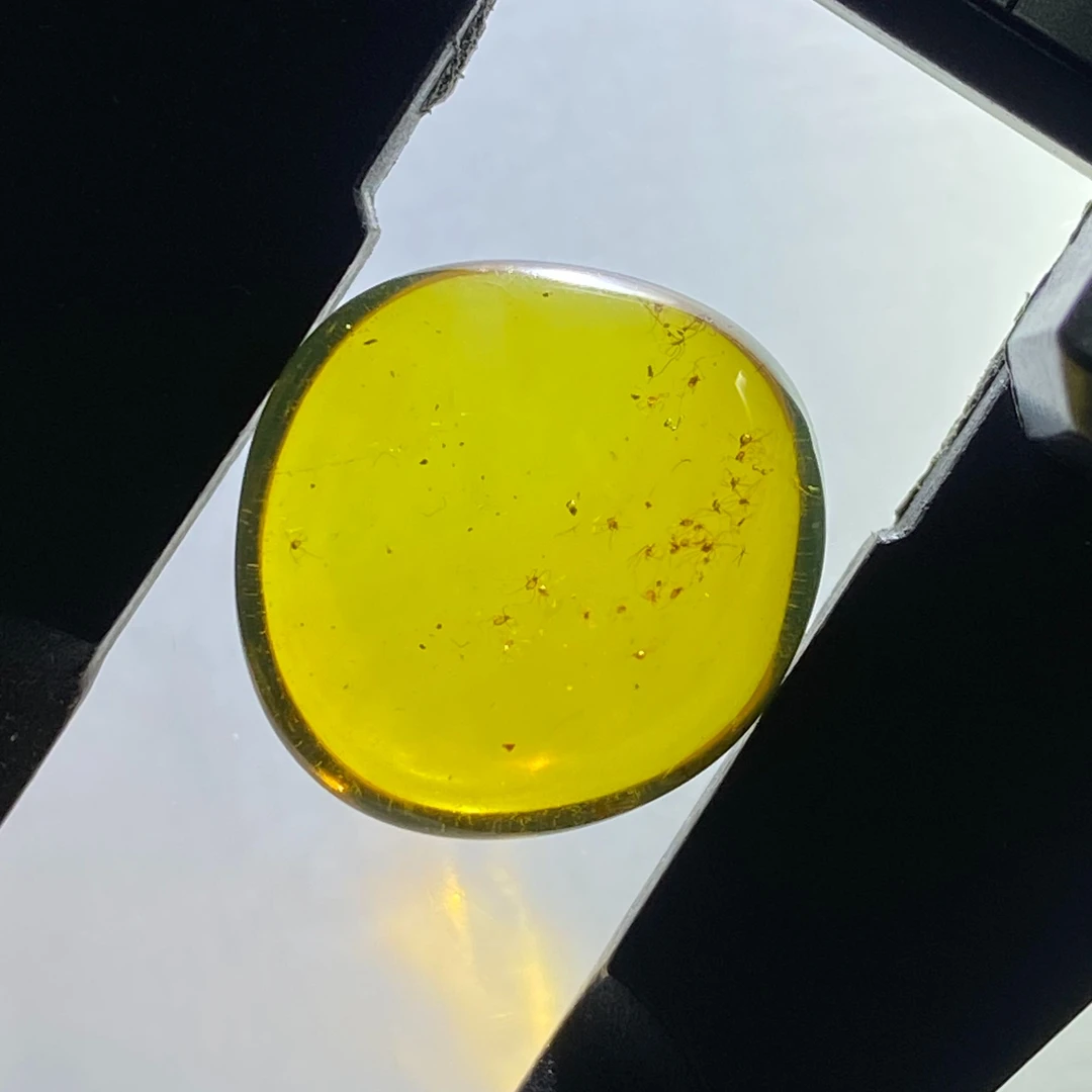 天然缅甸琥珀虫珀少见赤螨窝