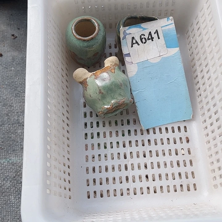 猫**儿641密密麻麻密密麻麻