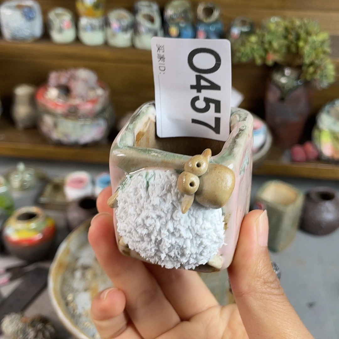 小白孤品 不含肉 内口 3.2百搭