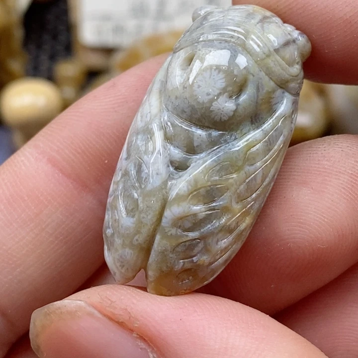 颈饰未镶嵌硅化珊瑚(珊瑚玉)小