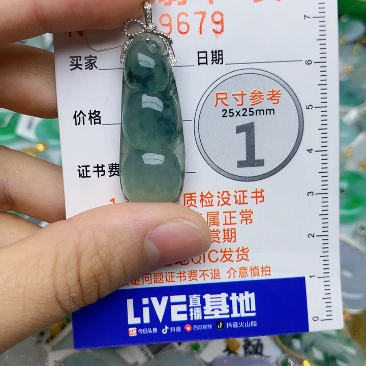 過***客翡翠18K金镶嵌颈饰豆子