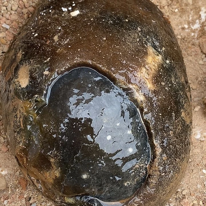 定制玛瑙.****玛瑙定制不退不换