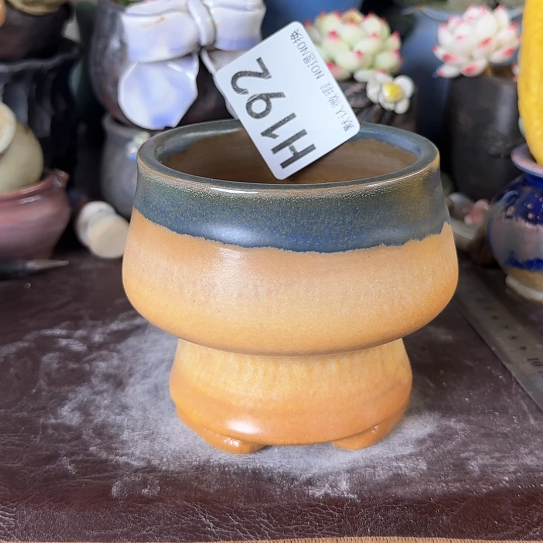 重庆小燕子欢迎大家192