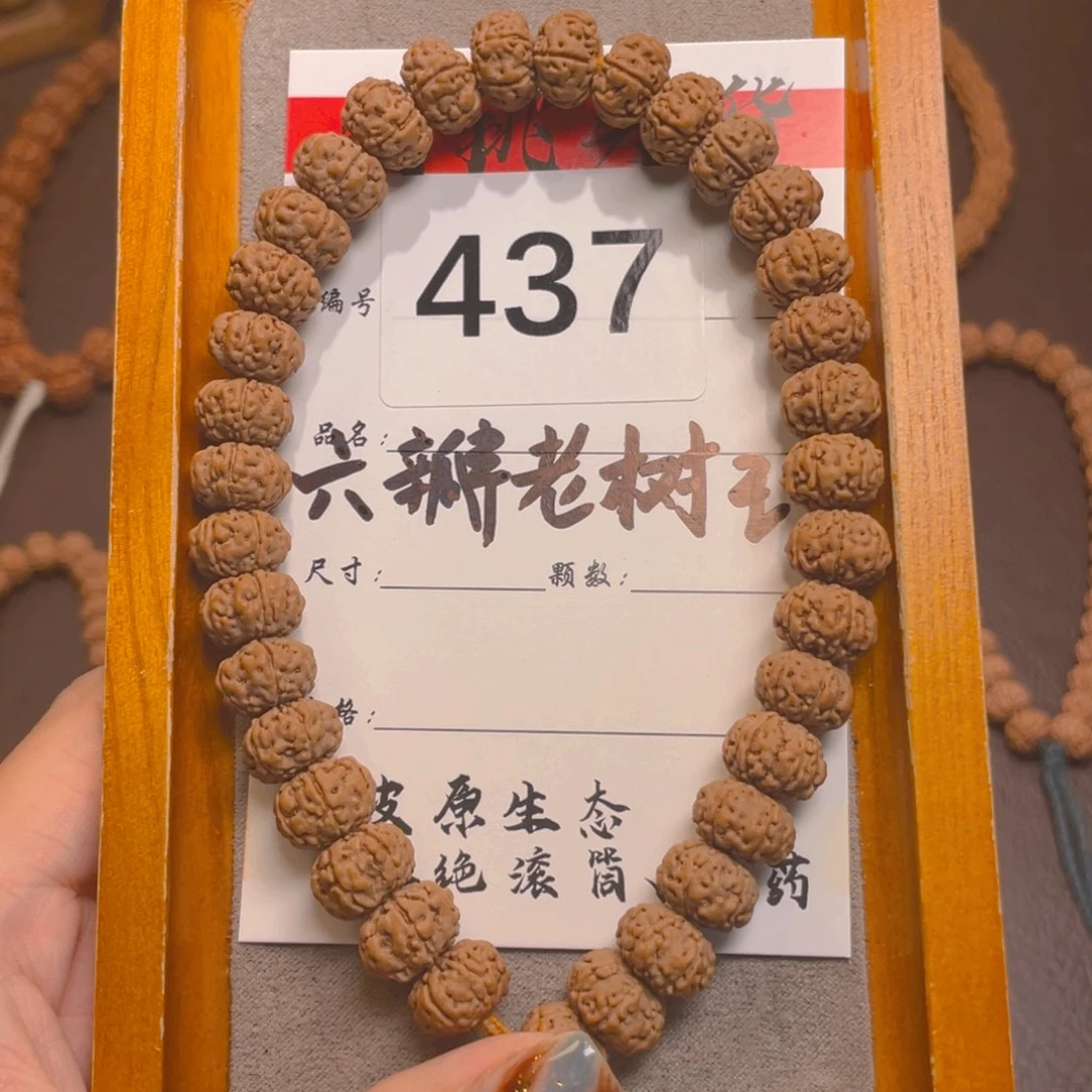 菩提437六瓣老树王