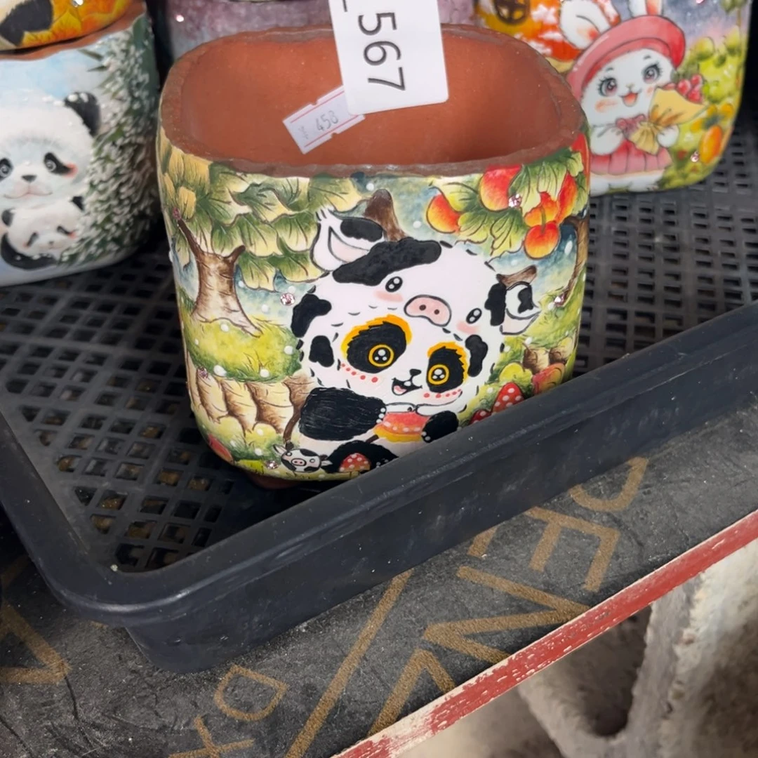 @***陈567-2多肉花盆  1个