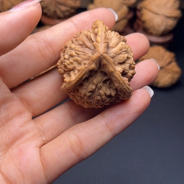 A*A官帽三棱核桃哈哈哈哈