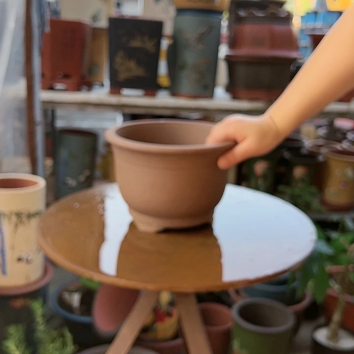 查林小马一只花盆花盆花盆