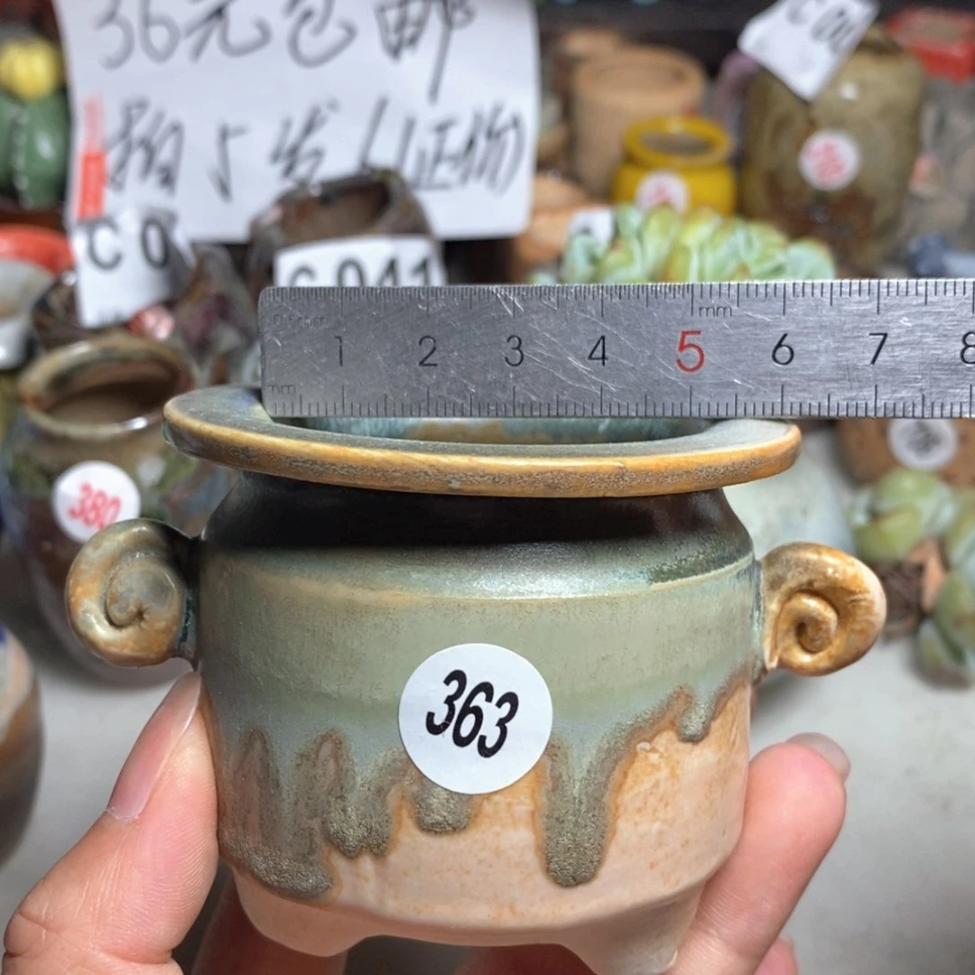 拍5送一个小礼物