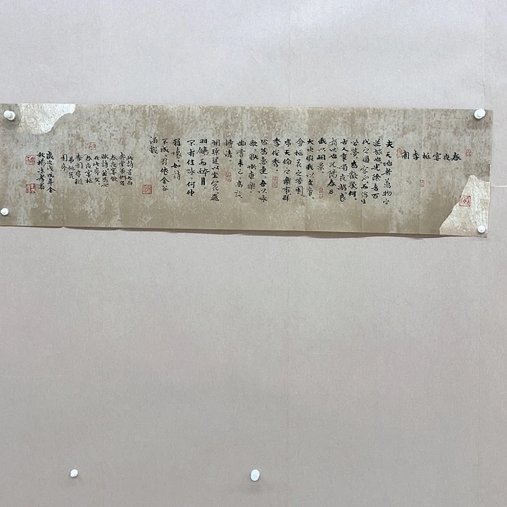 书法杨法孝138*34㎝山东LS