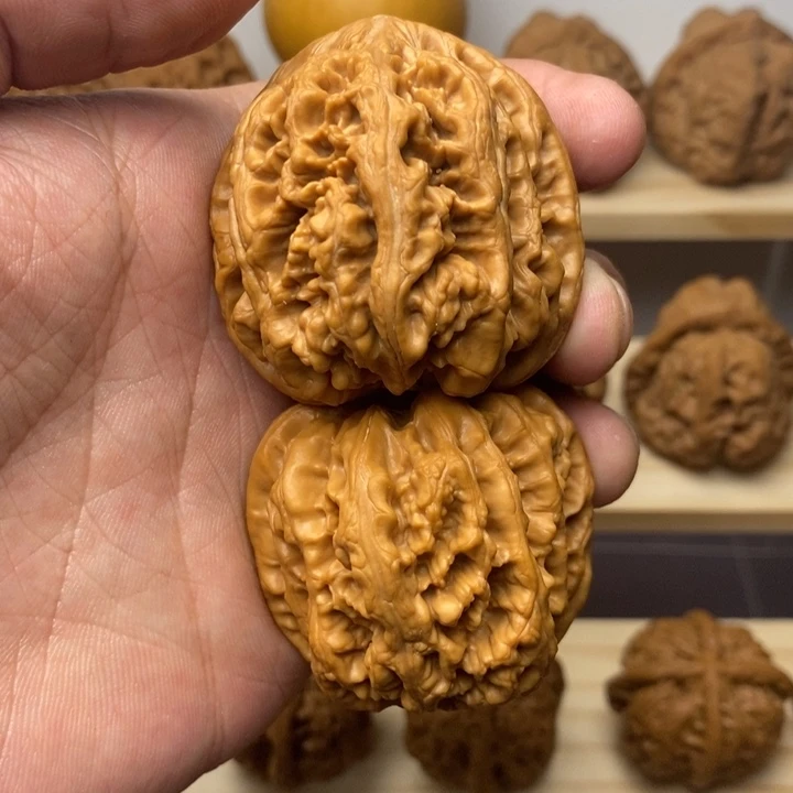 把件核桃大*43尺粗筋