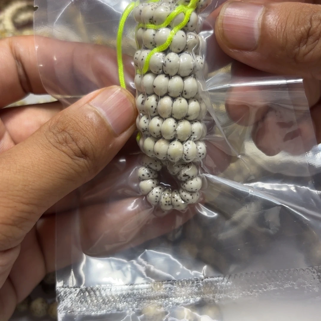 手串星月菩提星月原生态蒜瓣7
