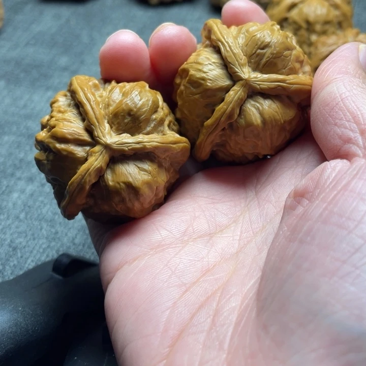 无***态手工三棱蛤蟆头三棱