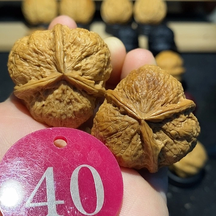 核桃三棱36核桃尺寸