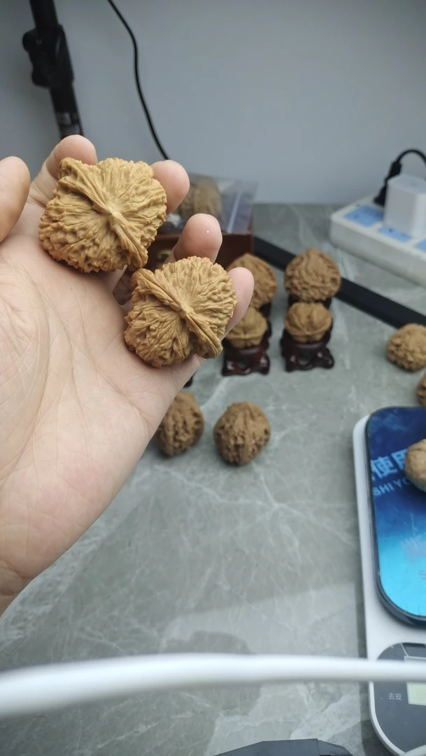 45白狮子 顶上有黄 核桃