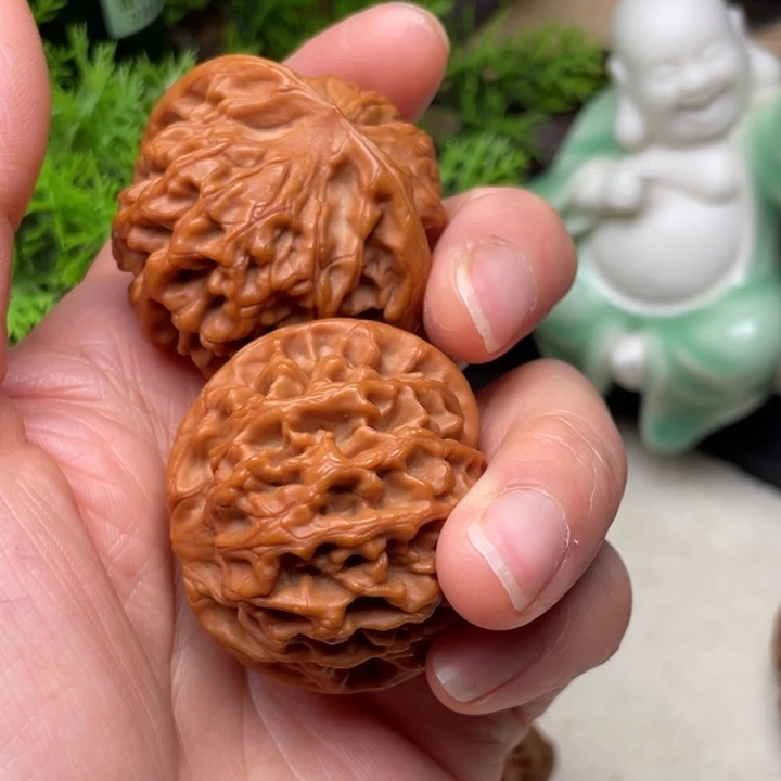 G***C秦闷文玩40尺寸文玩核桃