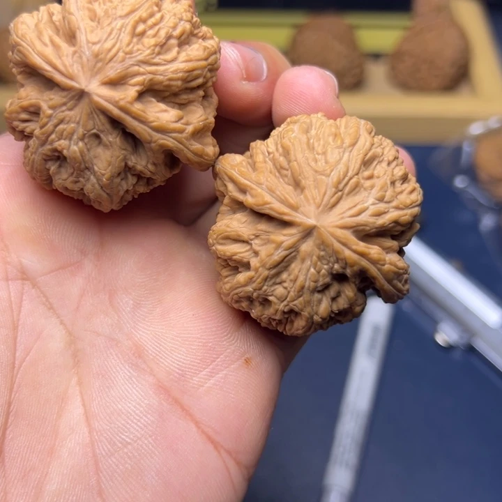 Z***^文玩核桃吊坠哈哈哈哈哈哈哈哈哈