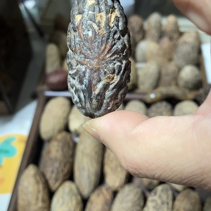 千***雪千眼菩提吊坠天然千眼菩提不退不换