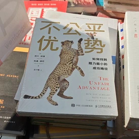 不公平的优势平装库存书全新