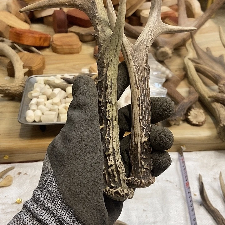 全***喜大叶紫檀（黑酸枝木类）手把件