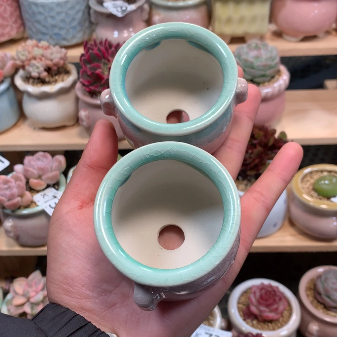 陶瓷盆哦哦哦哦哦哦