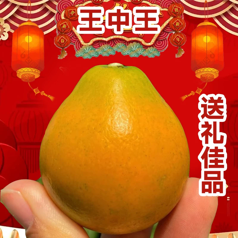 王中王【年货高端礼盒装】正宗融安脆蜜金桔广西薄皮新鲜水果蜜糖产