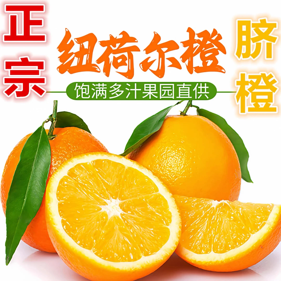 带箱10斤纽荷尔脐橙新鲜当季水果（约16~23个）坏果包赔