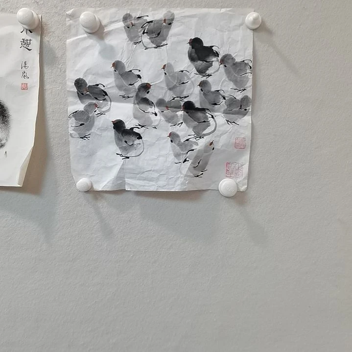 国画陕西书画放漏抖音直播间不见