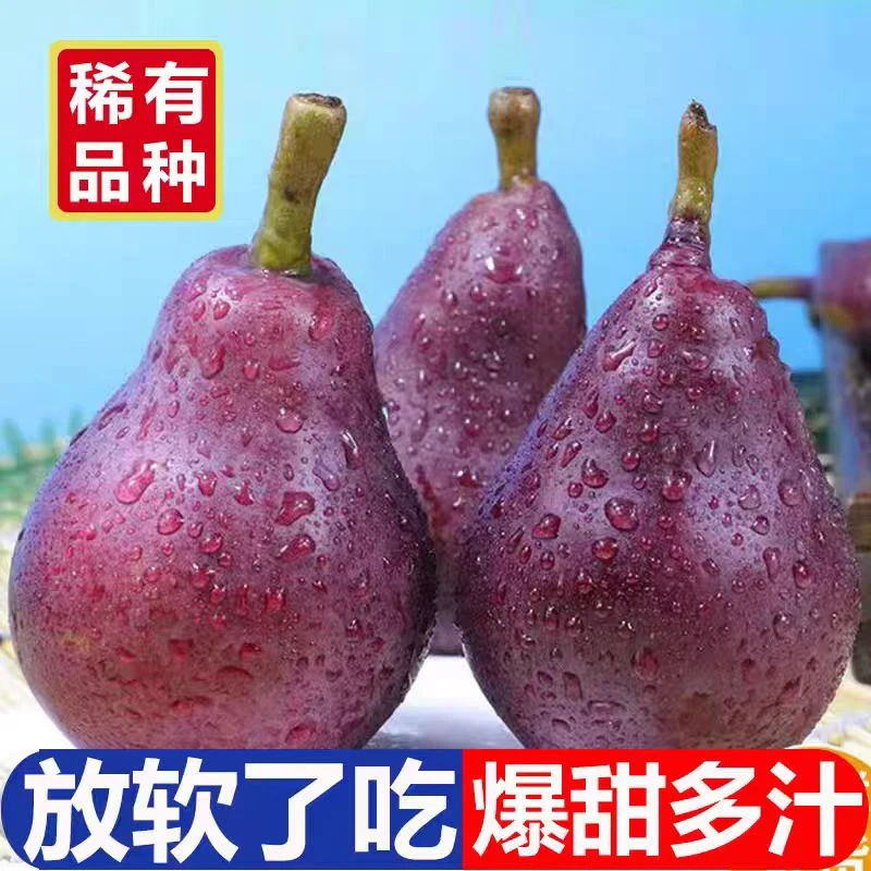 正宗红脾梨4.5斤多汁软糯核小无渣孕妇太婆梨应季时令新鲜水果