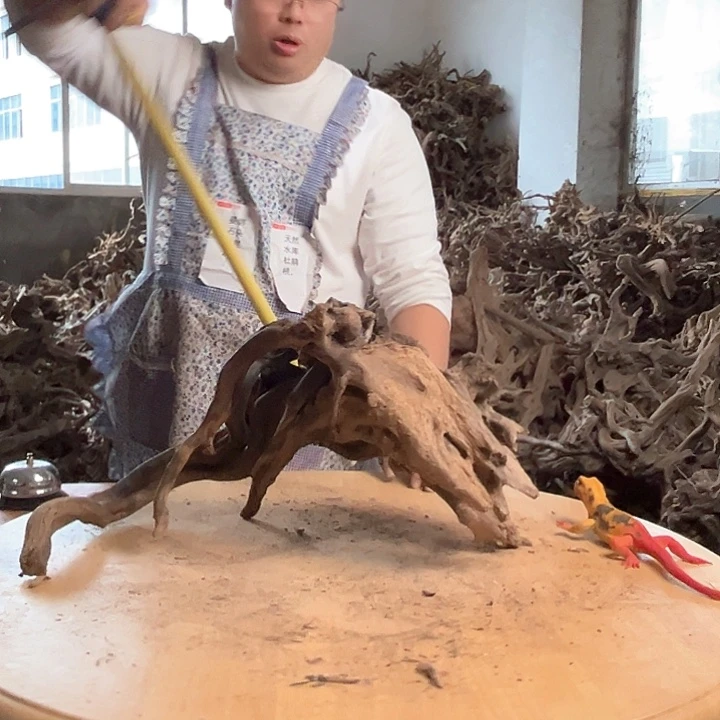 木502625 鱼缸造景根雕艺术231