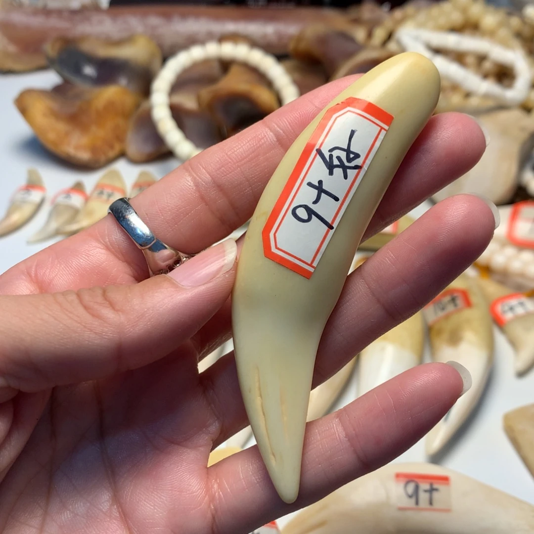 驼骨把件驼骨把件白色牙牙