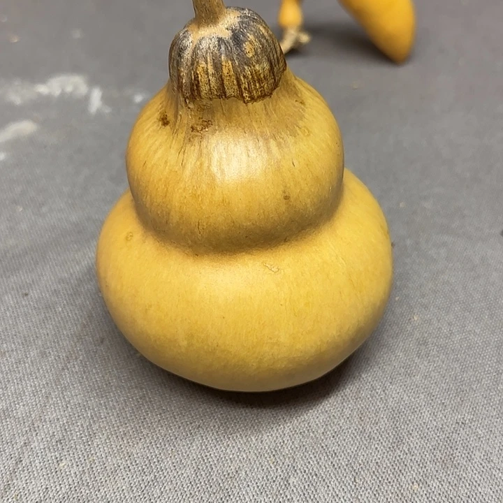 F***小莲花头全品厚皮葫芦