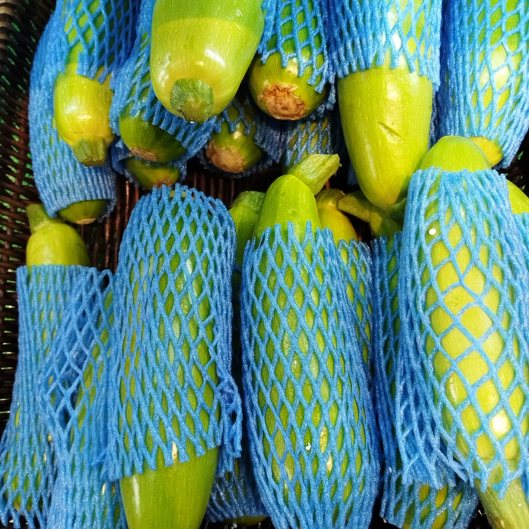 西葫芦两根约700克