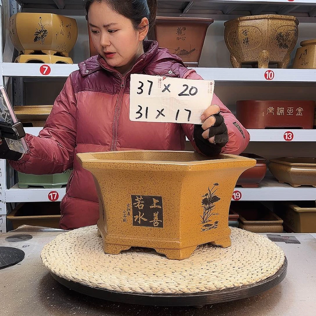 紫砂花盆紫砂花盆