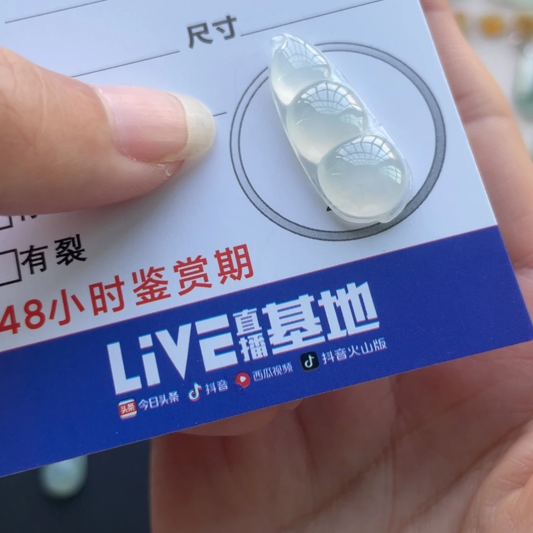 翡翠未镶嵌颈饰冰豆子