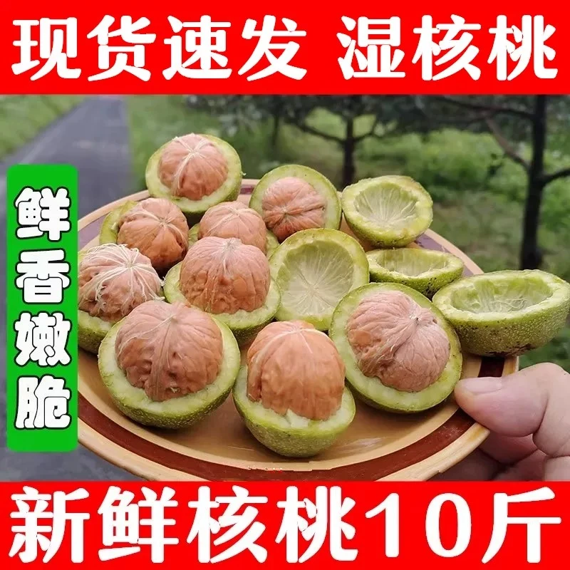2025年新鲜核桃去青皮湿嫩生核桃现摘绿皮薄皮核桃仁孕妇专用核桃