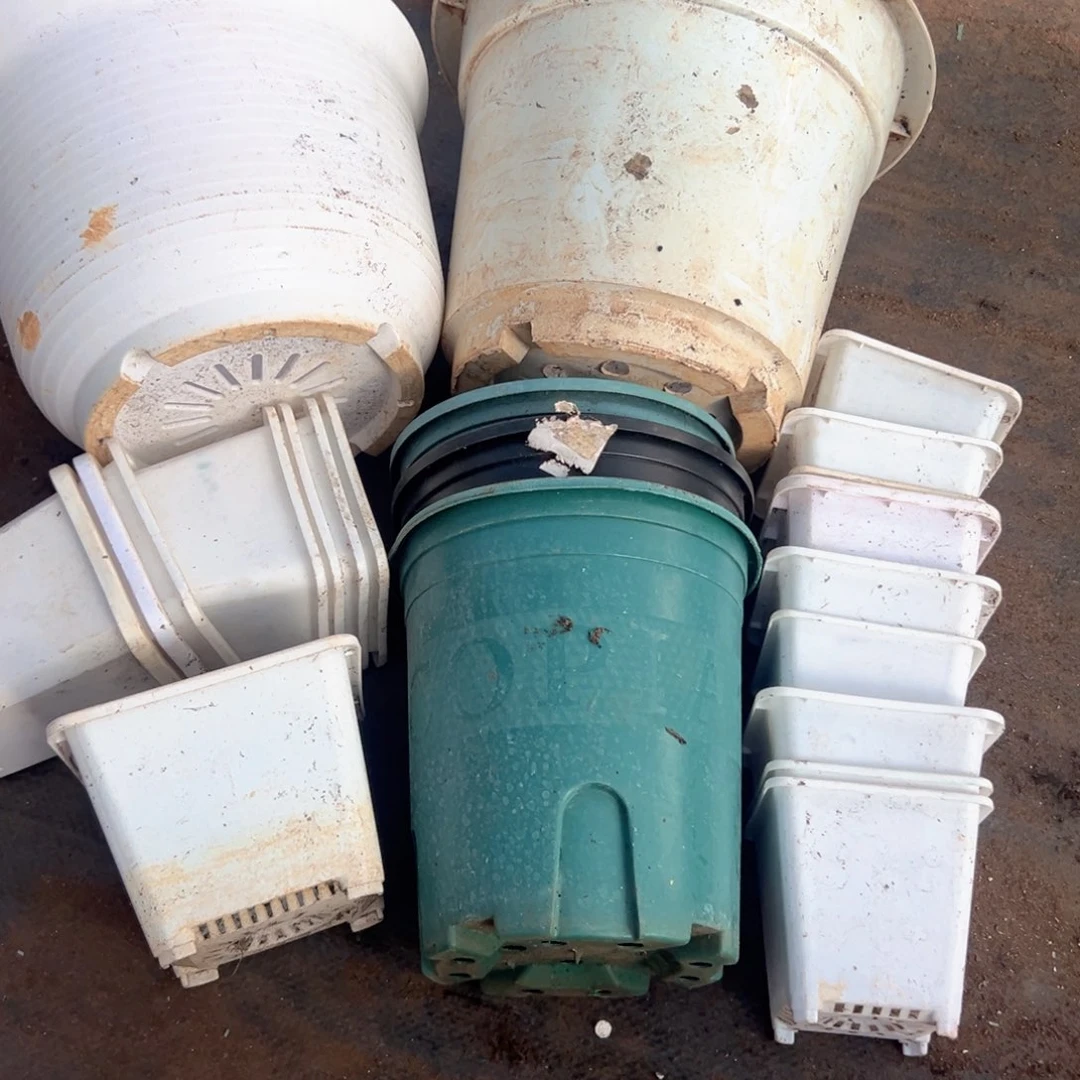 一堆乱七八糟的高端盆 打包