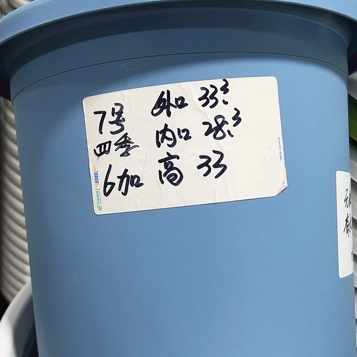 特价7号口33高33白色4只带托