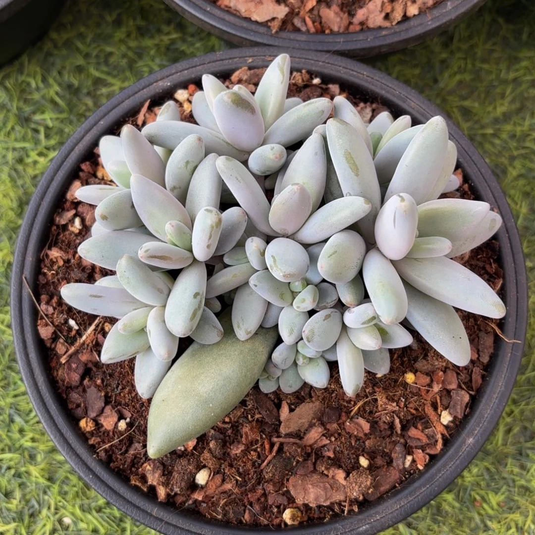 Nnnkkjnnnnjjmkjjnjkkjjhhjjhuhhj