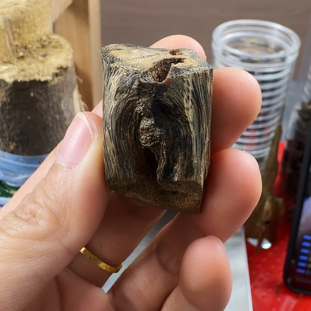 香料绿奇楠虫漏白棋5克