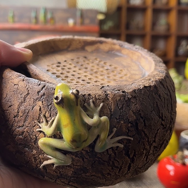 猫***咖青蛙茶盘1225566888555558