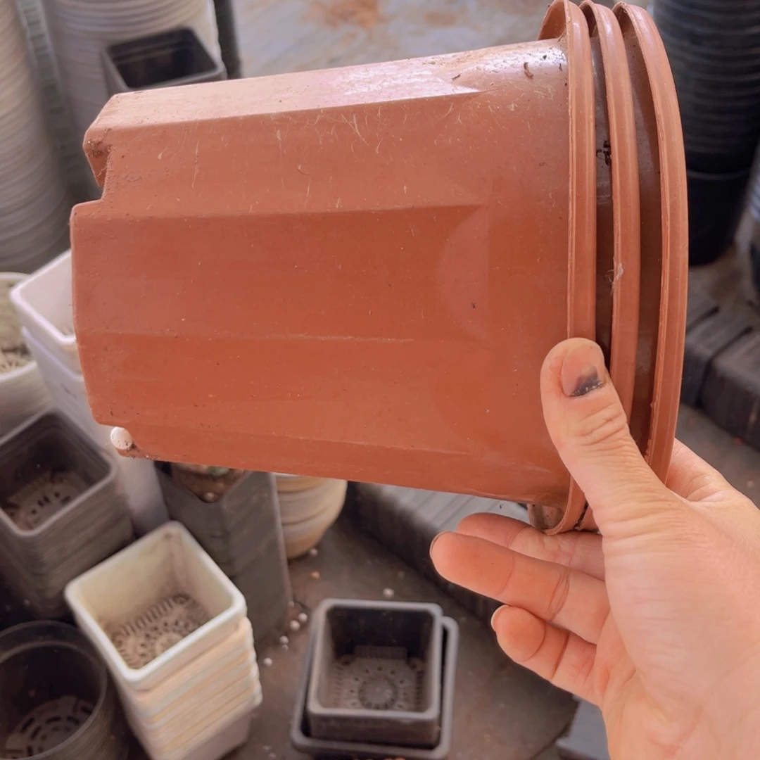 塑料旧19公分红砖盆高16.5公分。15个
