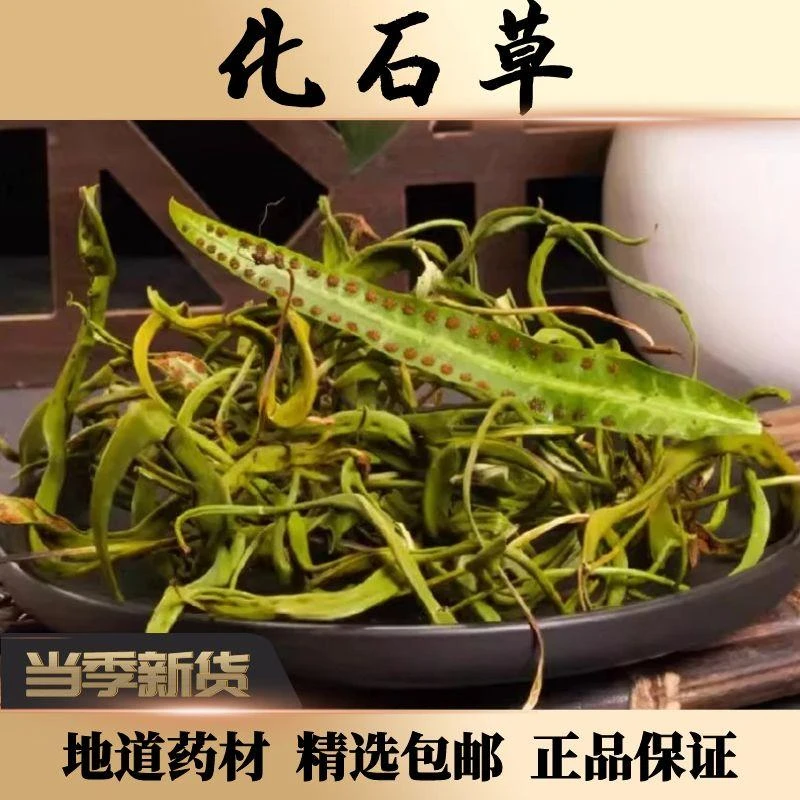 【大叶·肾精草】嗷嗷叫50g中药材黄金草肾精茶化石草花茶茯苓茶包